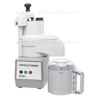R 301 D